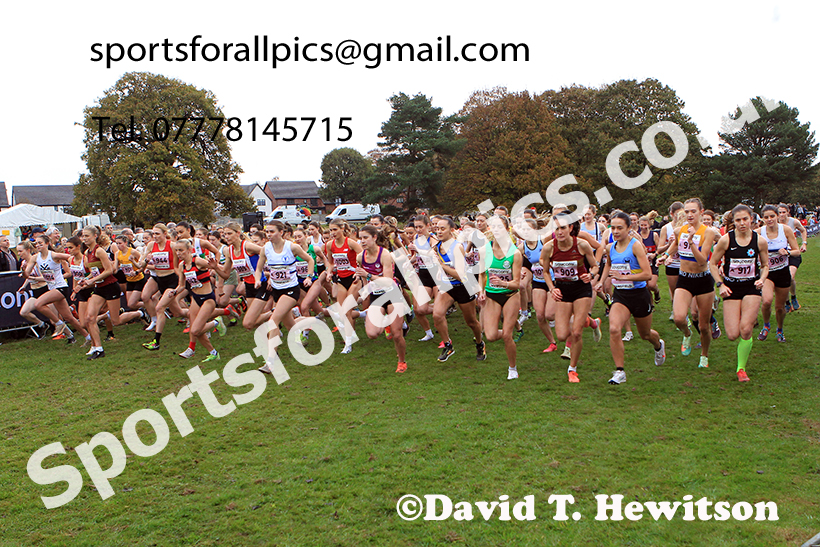 Senior Womens 2024 National Cross Country Relays, Berry Hill Park, Mansfield.   Photo: David T. Hewitson/Sports for All Pics